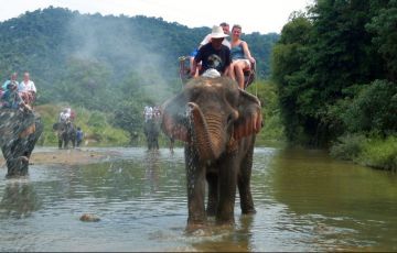 Havelock Wildlife Tour Packages | call 9899567825 Avail 50% Off